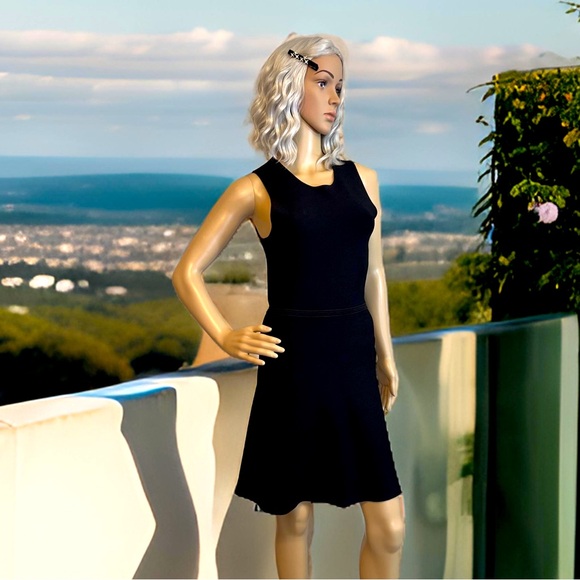 Theory Dresses & Skirts - Theory EUC Size S Classic Little Black Sleeveless Knit Stretch Mini Dress (0472)